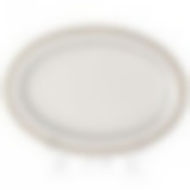 Блюдо овальное Консул 31 см
