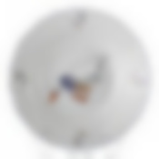 Тарелка суповая "ГУСИ", диаметр 23 см