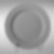 Тарелка плоская «Flora», 27 см