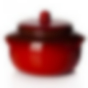 СУПНИК Новарусса №2