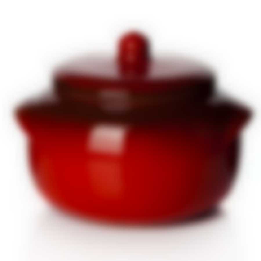 СУПНИК Новарусса №2