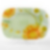 Тарелка прямоугольная, 30.3*21 см