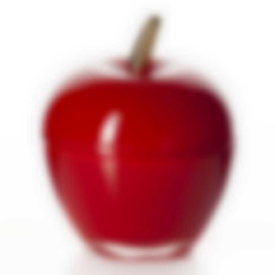 Ваза-красное яблоко CANISTER