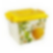 Контейнер универсальный Летнее настроение 8.5л (цвет в ассортименте)