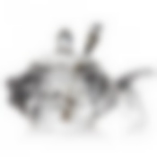 ИКОРНИЦА с ложкой (МУЗА) 16*10