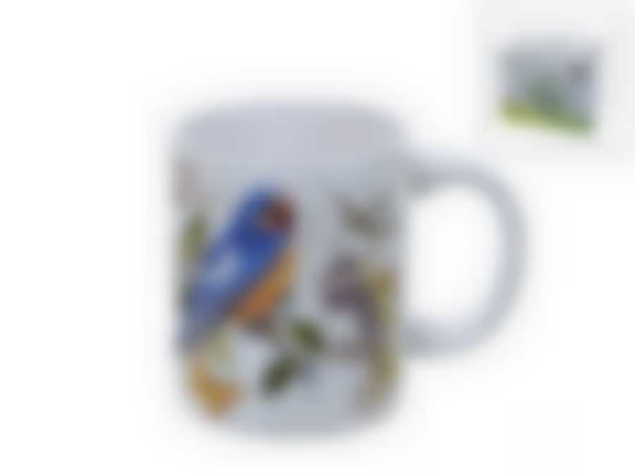 Кружка "Birds" v=400мл (подарочная упаковка)