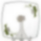 Тарелка столовая мелкая Pasabahce "Каллы желтые", D=26,5 см