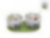 Набор банок для сыпучих продуктов Polystar "Birds", с ложками, 5 предметов