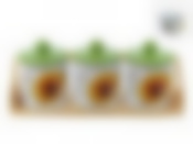 Банки для сыпучих продуктов, набор 3шт. "Подсолнух" d=9см h=12,5см v=400см (32*11*13см (на деревянной подставке)) (подарочная упаковка)