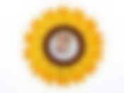 Изделие декоративное (фоторамка) "Подсолнух" (7*7см) d=18см h=2,5см (искусственный войлок) (упаковочный пакет OPP)