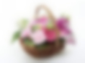 Композиция декор., 12шт. "Для любимой" 20*15*18см