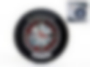 Часы кварцевые, настенные "Авторалли" d=20,5/32,5см. (батарейка-1"АА") (подарочная упаковка)