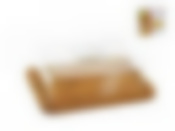 Блюдо с крышкой для сыра 25*20*7,5см (бамбук обработанный, пластик) (подарочная упаковка)