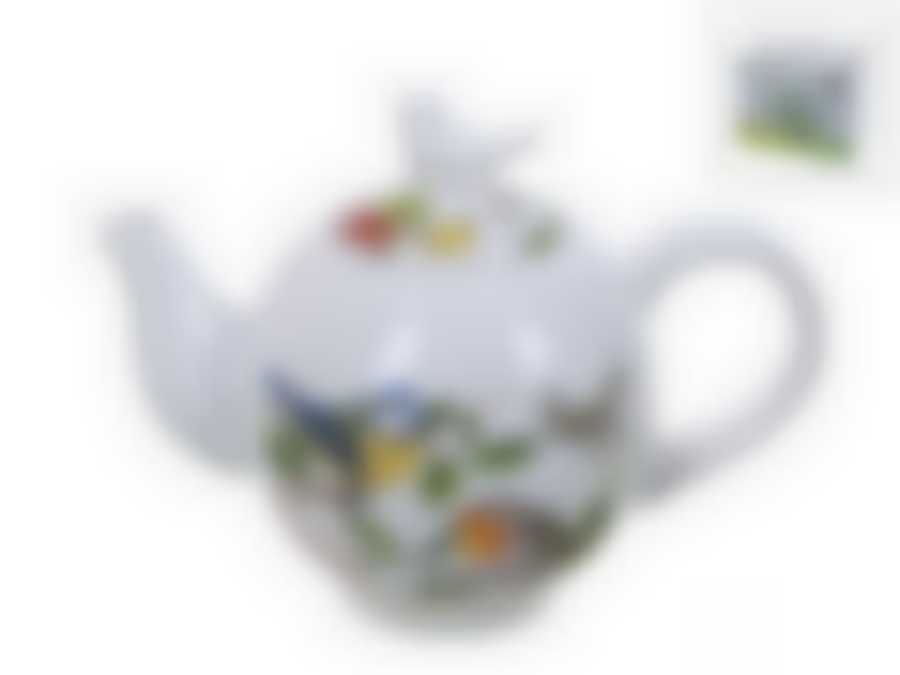 Чайник "Birds" 21,5*12*17см v=1050мл (подарочная упаковка)