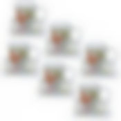 Чайный набор на 6 персон Best Home "Дивный сад", 240 мл