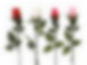 Цветок искусст. (на ножке) "Роза" h=65см (4вида) (корич упак.)