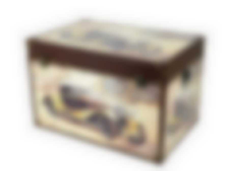 Сундук декоративный, набор 2шт. "Авто" 60*39,5*39,5/50*32*32см (МДФ, ПВХ) (коричневая упаковка)