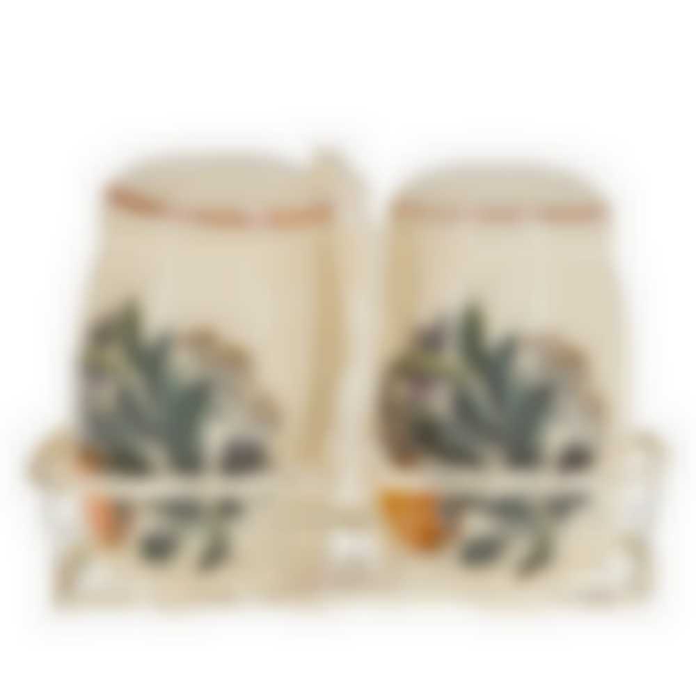 Набор для специй Polystar "Мадрид", 3 предмета