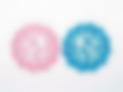 Салфетка декоративная "Птички" d=12см h=0,3см (2вида) (искусственный войлок) (упаковочный пакет OPP)