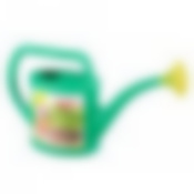 Лейка 3,5 л с декором (цвет в ассортименте)