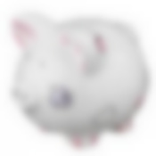 Копилка "СВИНКА" высота=18 см