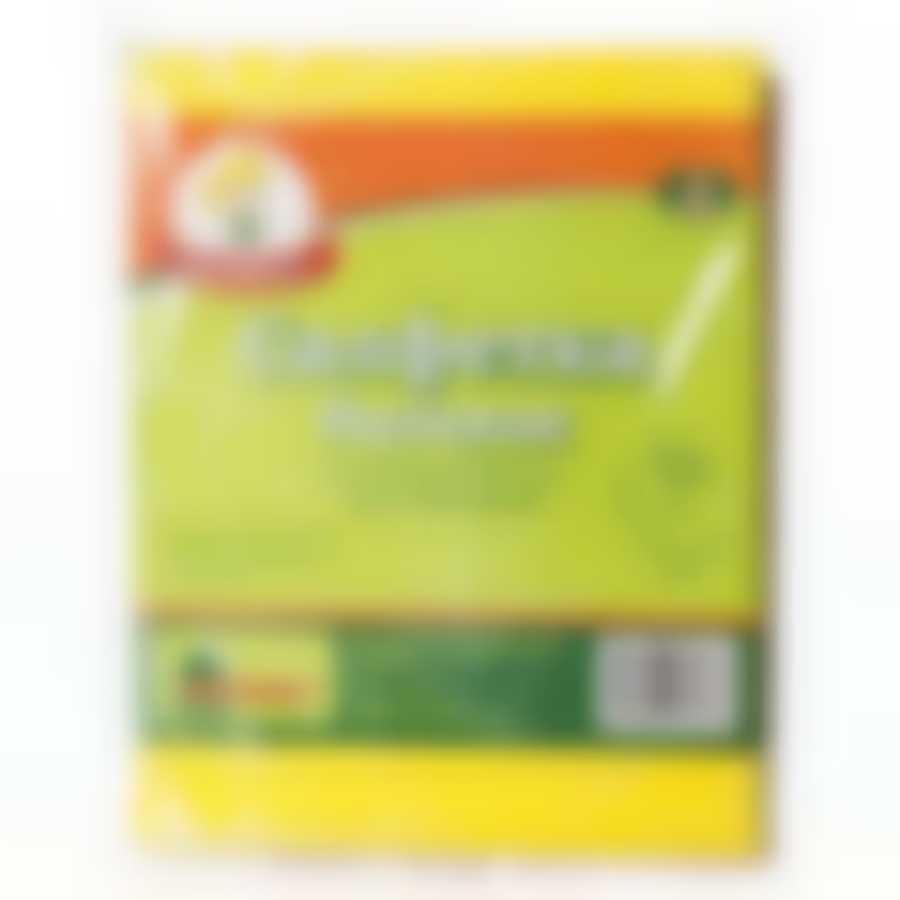 Салфетки бытовые "Умничка", вискоза, 30*38 см, 3 штуки