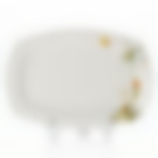 Тарелка столовая мелкая Domenik Papillion, D=31 см