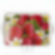 Поднос "Искушение", 495*330 мм (цвет в ассортименте)