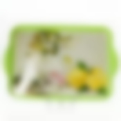 Поднос с ручками "Десертный", 495*330 мм (цвет в ассортименте)