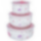 Набор контейнеров для пищевых продуктов из 3 шт. 1000/800/300 мл диаметр=15/13/10 см