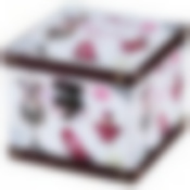 ШКАТУЛКА КОЛЛЕКЦИЯ "ЖЕНСКИЕ ШТУЧКИ" 12*12*10 СМ