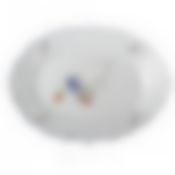 Поднос "ГУСИ" 36см