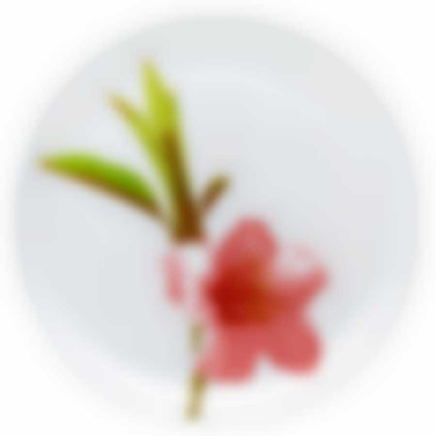 Тарелка столовая мелкая Luminarc Water Color, D=25 см