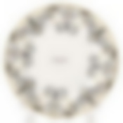 Тарелка обеденная Domenik Saint Germain, D=27 см