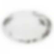 Блюдо Domenik Once Upon A Time, длина 26 см