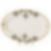 Тарелка столовая мелкая Domenik Saint Germain, D=26 см