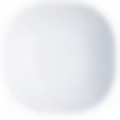 Тарелка столовая мелкая Luminarc Lotusia, D=25 см