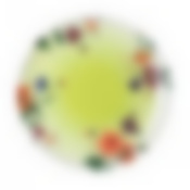 Тарелка столовая мелкая Luminarc Marisa Green, D=26 см