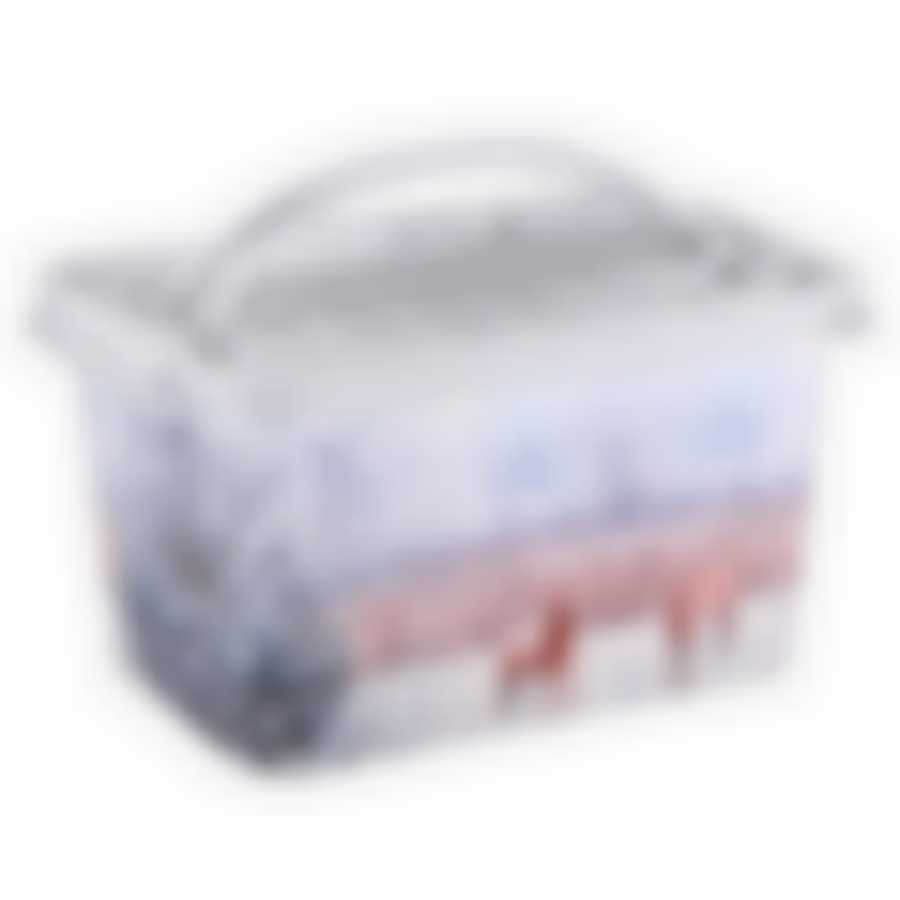 Контейнер Зима 7л прямоугольный (цвет в ассортименте)