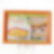 Поднос для заморозки пельменей, 360 х 250 х 30 мм (цвет в ассортименте)