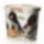 Контейнер овальный для корма Dogs 10 л (цвет в ассортименте)