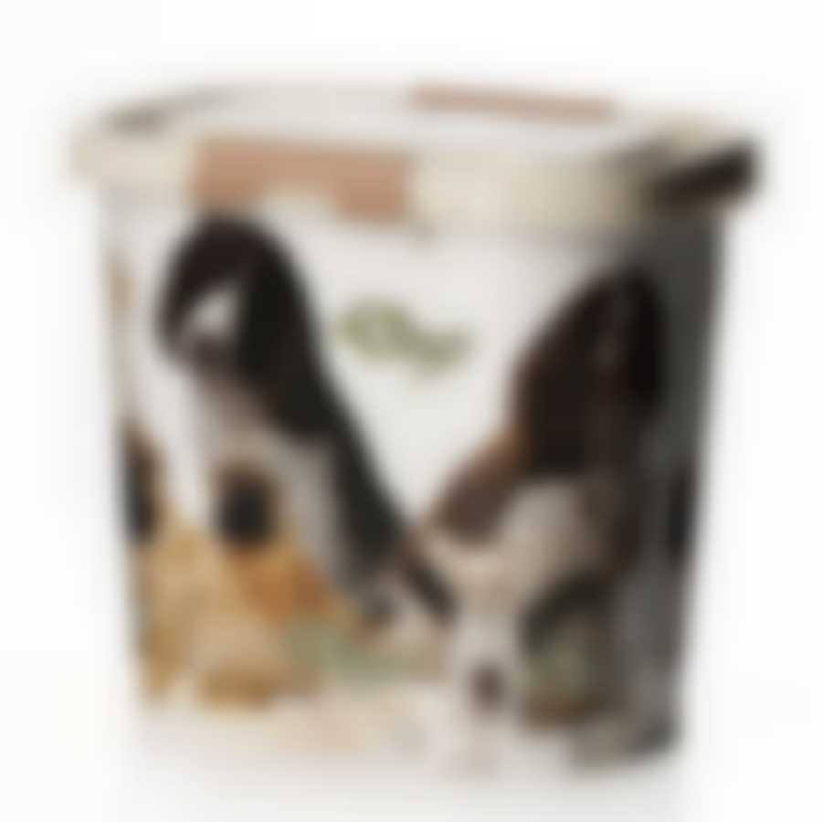 Контейнер овальный для корма Dogs 10 л (цвет в ассортименте)