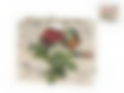 Пакет подарочный (ламинированный, текстильные ручки) 23*10*18см (2вида) (min12) (бумага) (упаковочный пакет)