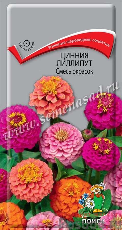 Цинния лиллипут Смесь окрасок 590015