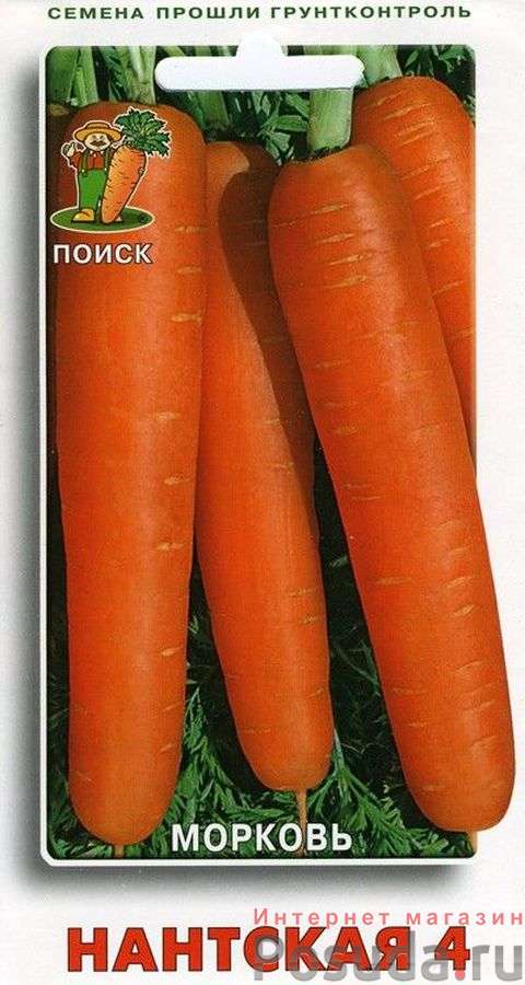 Морковь Нантская 4 370438