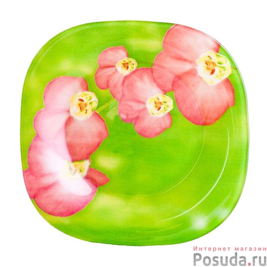 Тарелка закусочная (десертная) Luminarc Erine, D=18 см