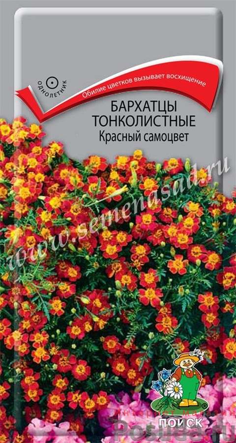 Бархатцы тонколистные Красный самоцвет 160558