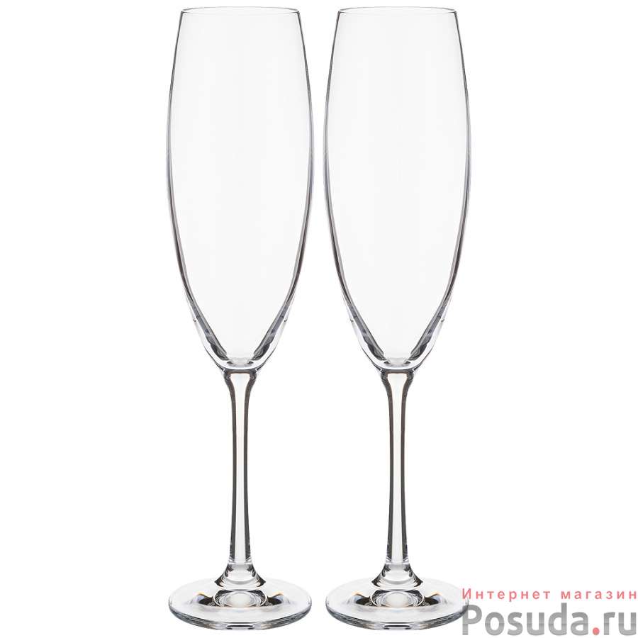 Набор бокалов для шампанского Sophia из 2 шт. 230 мл высота=24,5 см