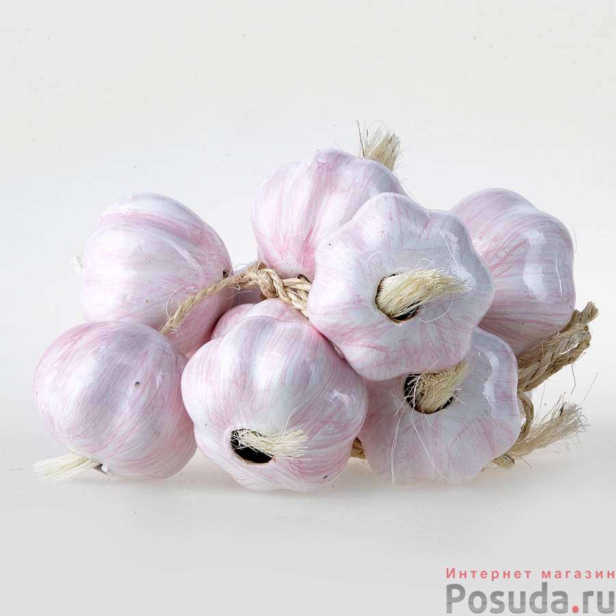 Декоративное украшение для кухни House & Holder "Вязанка чеснока"