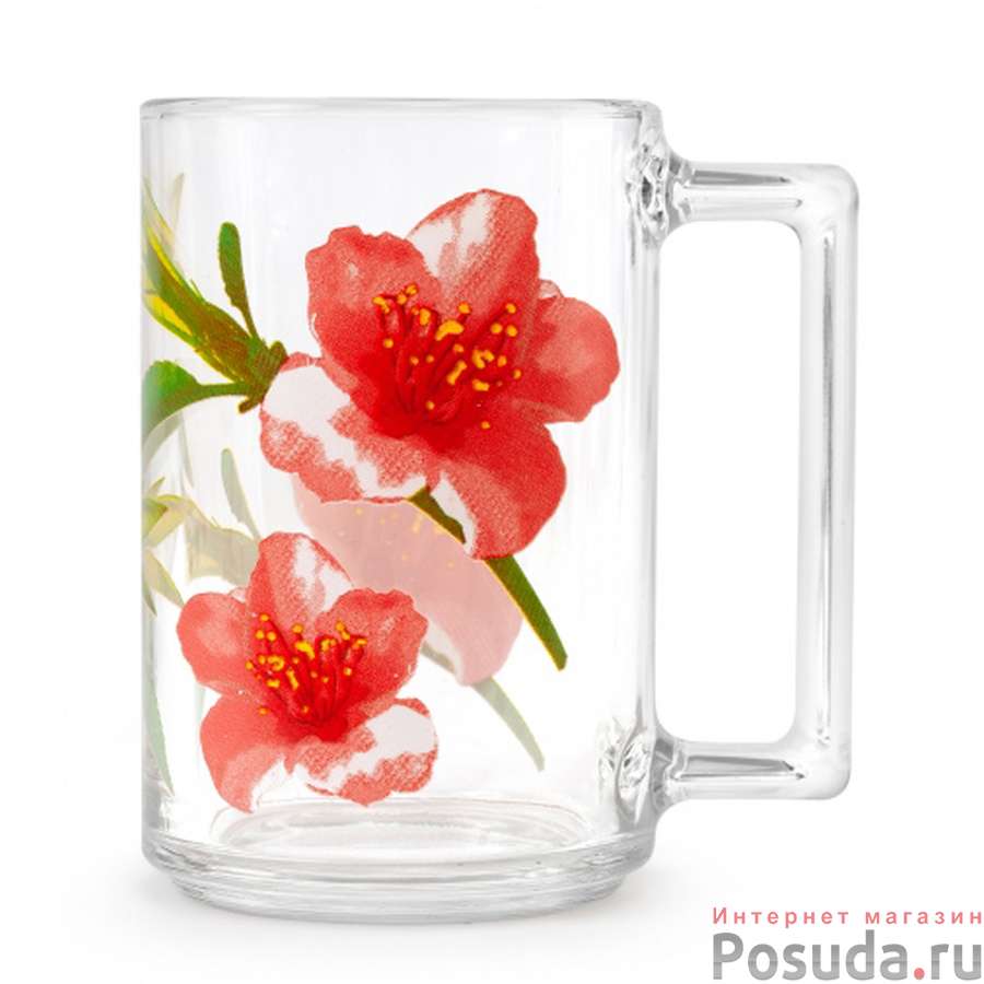 Кружка ФИТНЕС 320мл Микс декоров Цветы 1